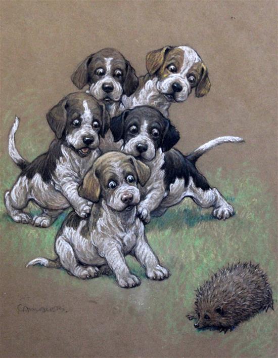 Christopher Gifford Ambler (1886-1965) Cartoon of puppies and a hedgehog, Let Genge do it, 16 x 12.75in.